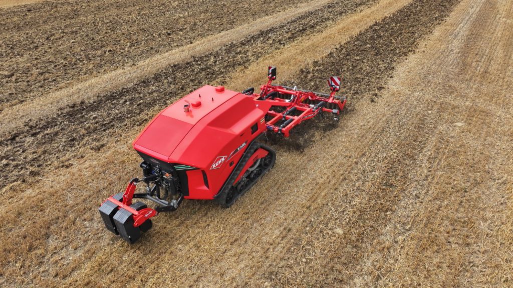 Untitled design (13)